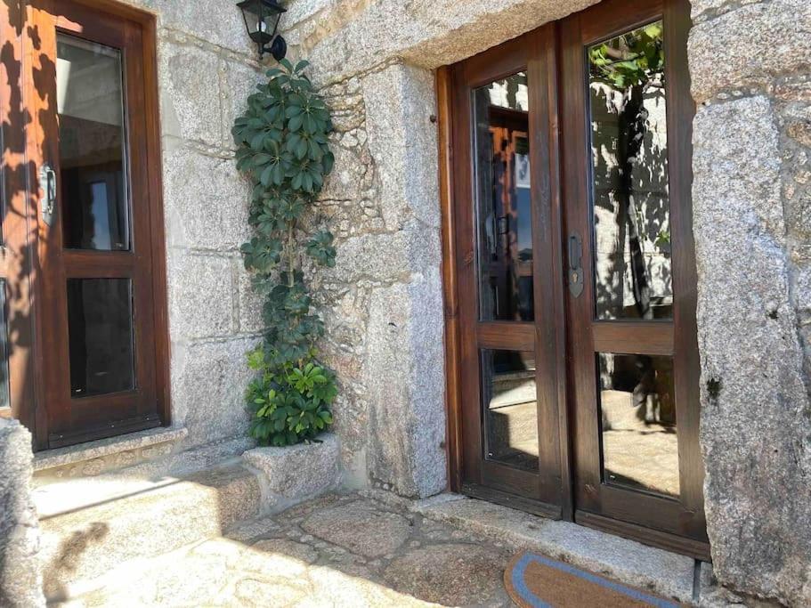 Petra's House